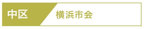 中区市会